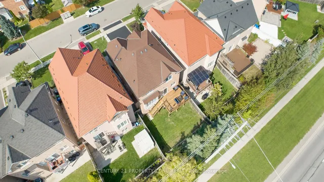 Additional image 4 of 42 Spotted Owl Cres
