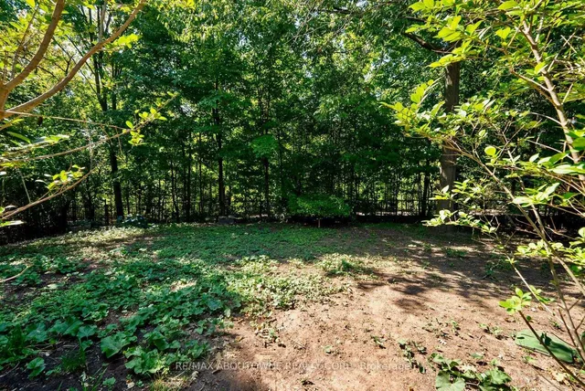 Additional image 46 of 11 Morrison Creek Cres