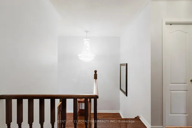 Additional image 19 of 19 OXTAIL Lane