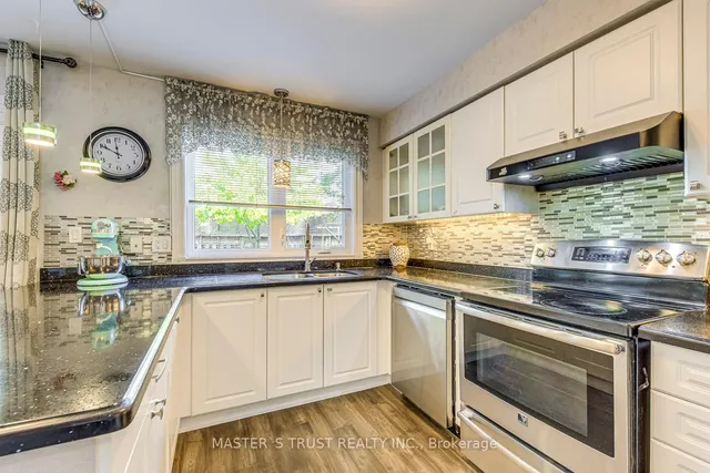 Additional image 16 of 66 Snow Leopard Crt