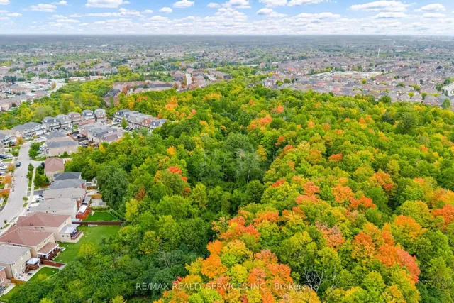 Additional image 50 of 38 Foxsparrow Rd