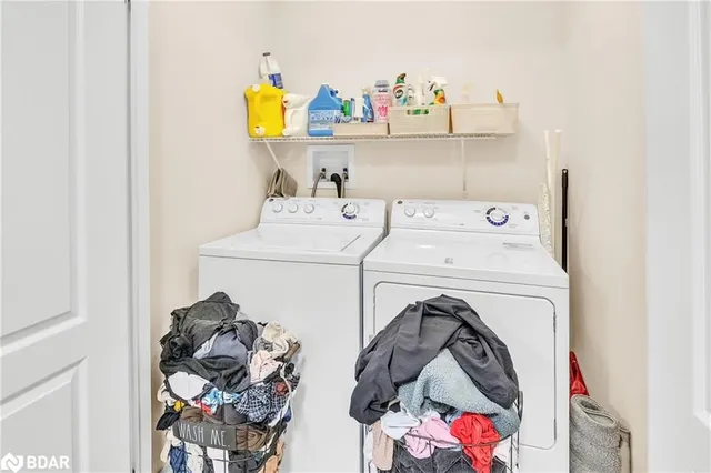 Additional image 41 of 80 Palacebeach Trail