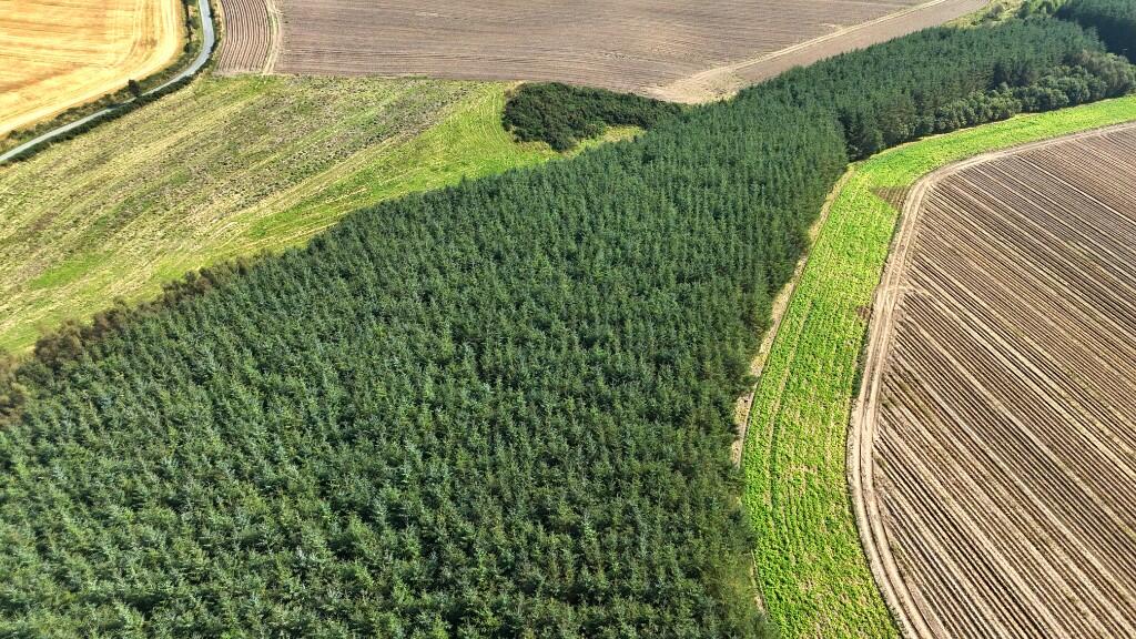 Additional image 6 of Woodlands at North Touxhill, Auchnagatt