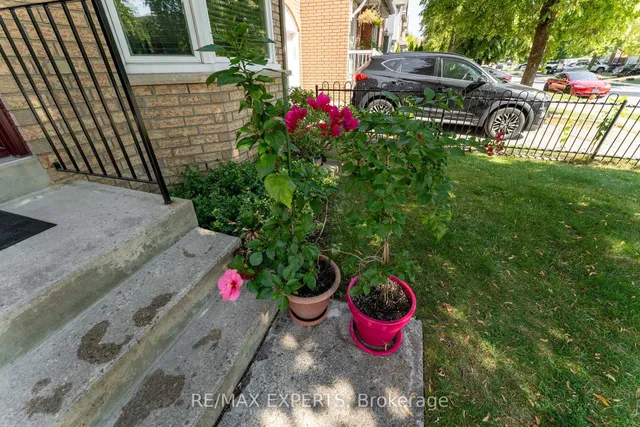 Additional image 6 of 39 Softneedle Ave