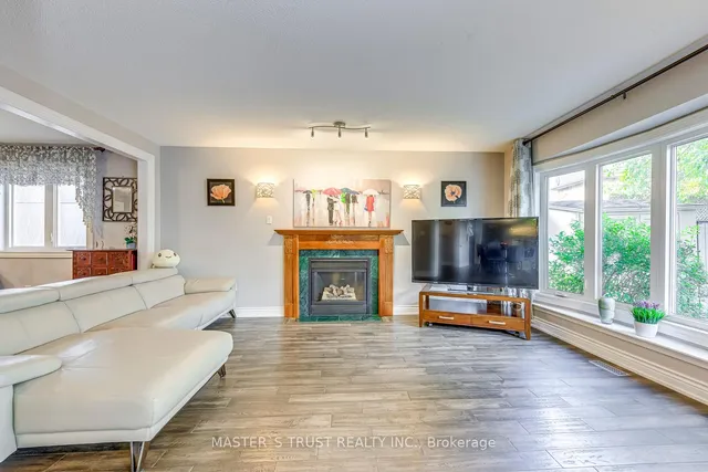 Additional image 17 of 66 Snow Leopard Crt