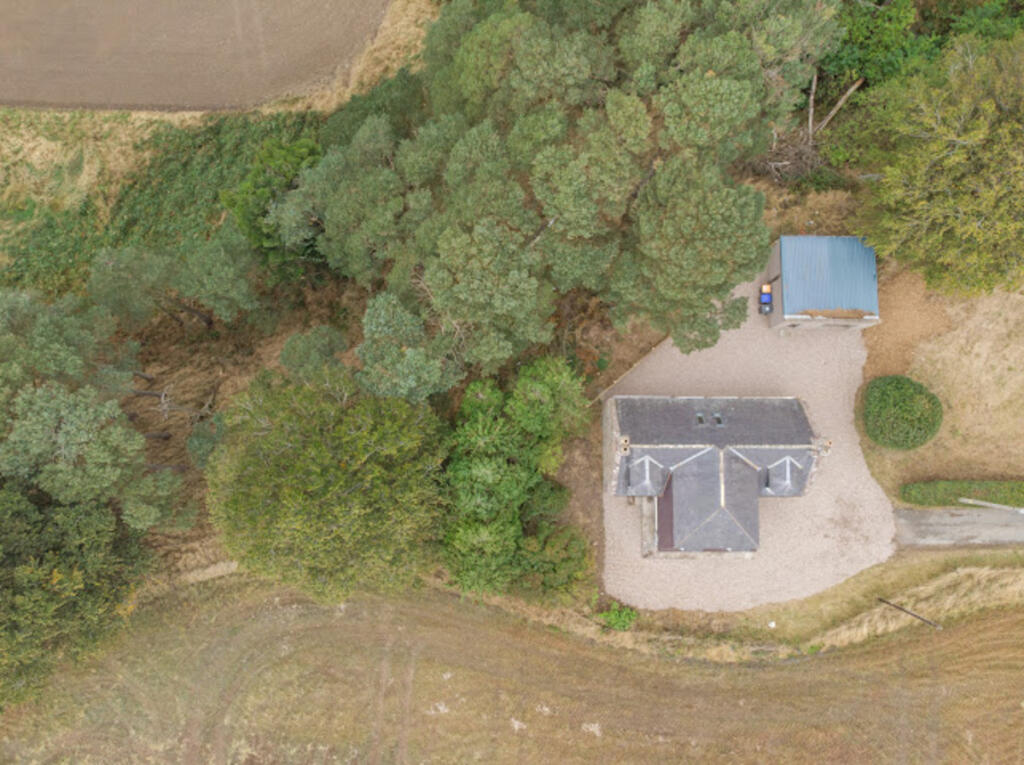 Additional image 37 of King Edward, King Edward, AB45