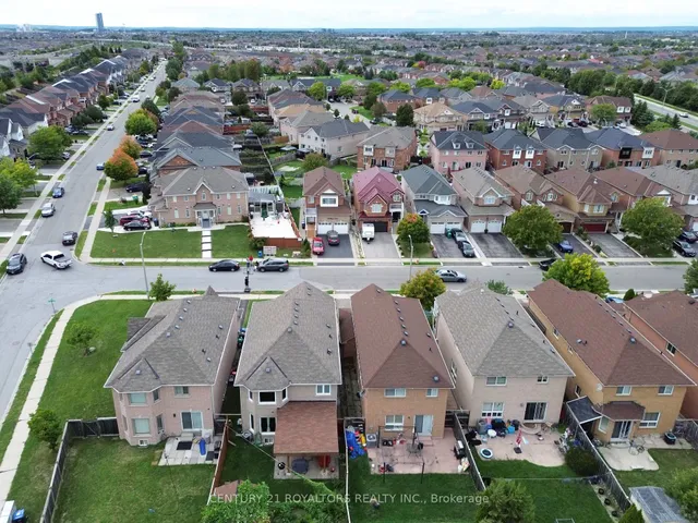 Additional image 39 of 19 OXTAIL Lane