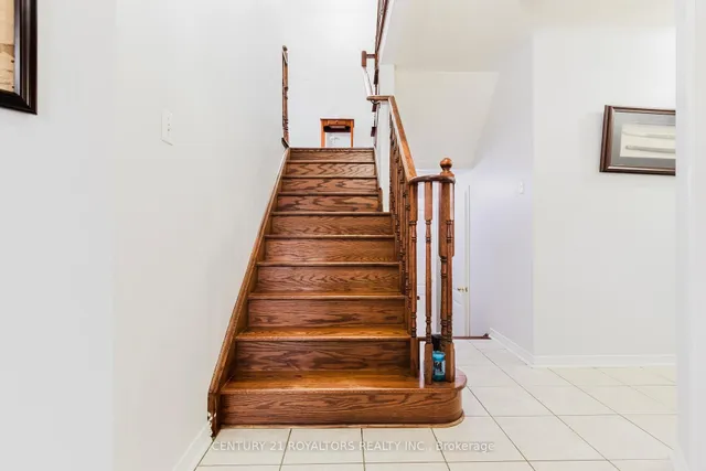 Additional image 17 of 19 OXTAIL Lane