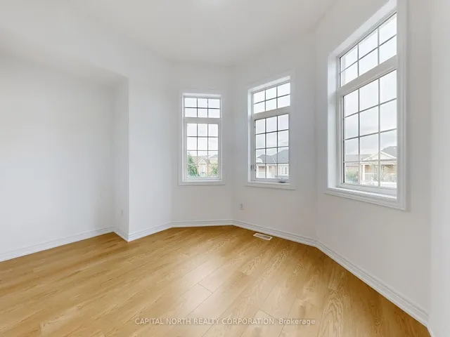 Additional image 26 of 29 Begonia Cres