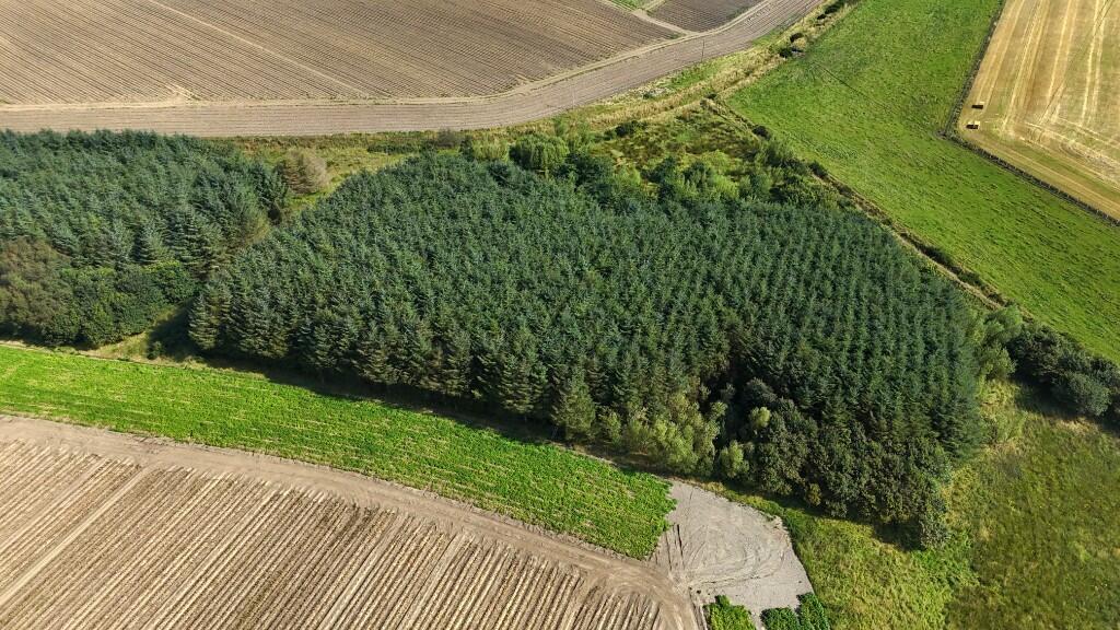 Additional image 5 of Woodlands at North Touxhill, Auchnagatt