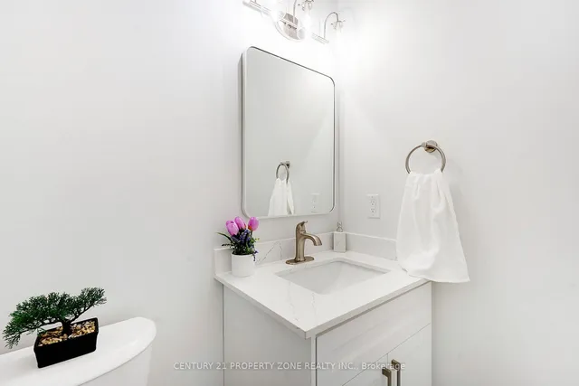 Additional image 16 of 42 Spotted Owl Cres