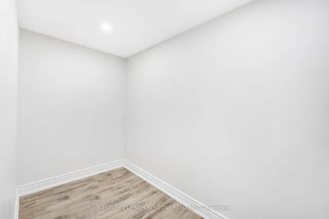 Additional image 31 of 42 Spotted Owl Cres