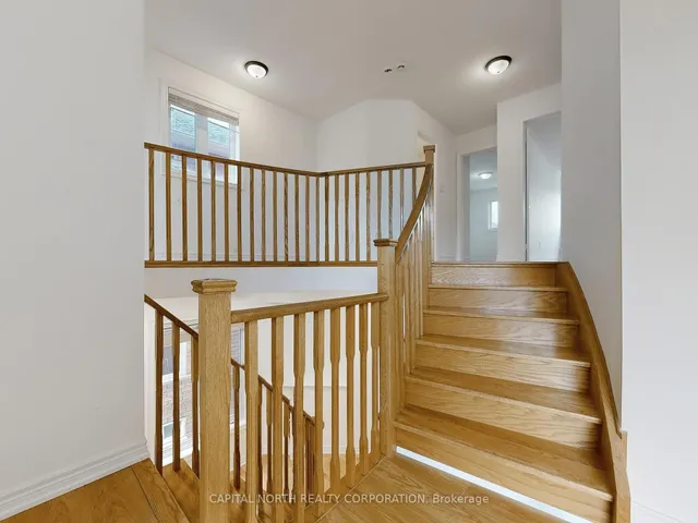 Additional image 18 of 29 Begonia Cres