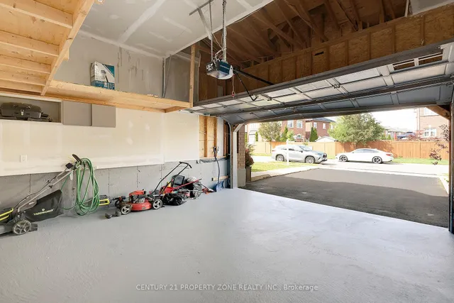 Additional image 33 of 42 Spotted Owl Cres