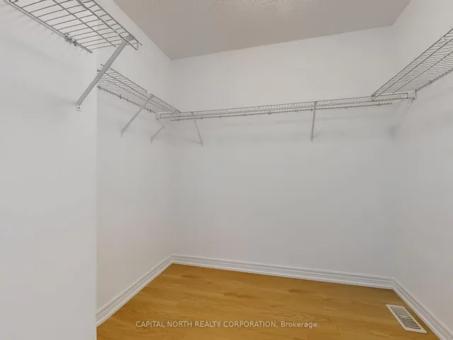 Additional image 22 of 29 Begonia Cres