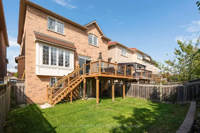 Additional image 34 of 42 Spotted Owl Cres