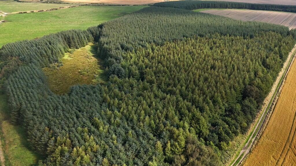Additional image 8 of Woodlands at North Touxhill, Auchnagatt