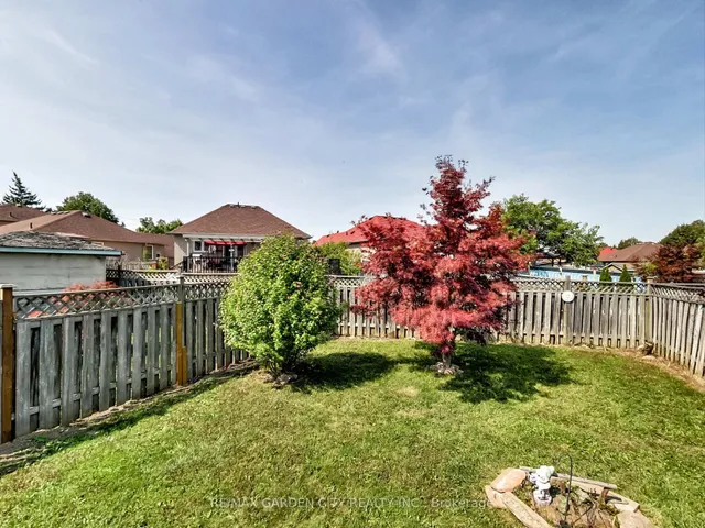 Additional image 31 of 15 CARABRAM Crt