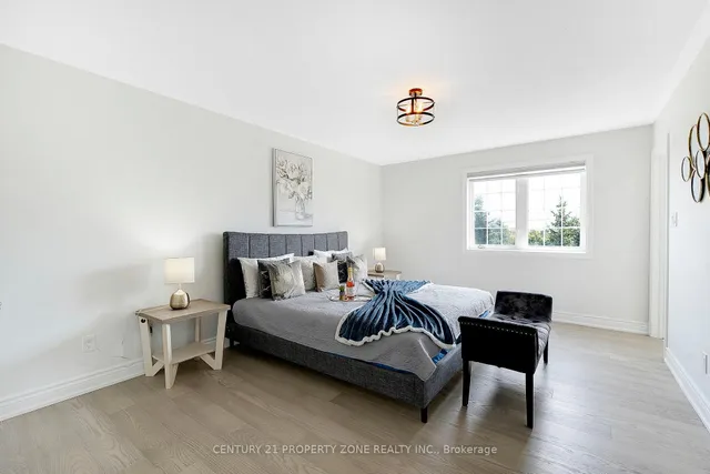 Additional image 20 of 42 Spotted Owl Cres