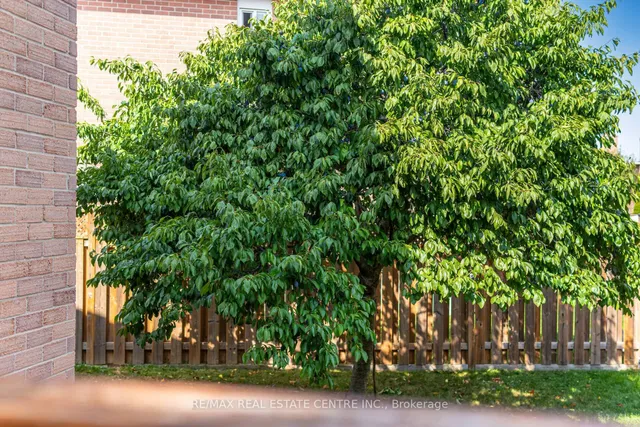 Additional image 40 of 5113 Palomar Cres