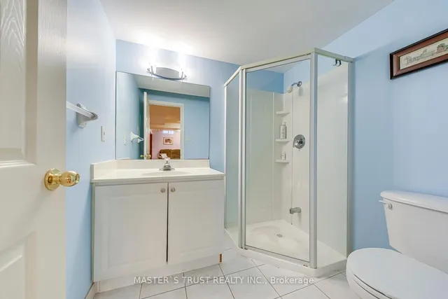 Additional image 47 of 66 Snow Leopard Crt