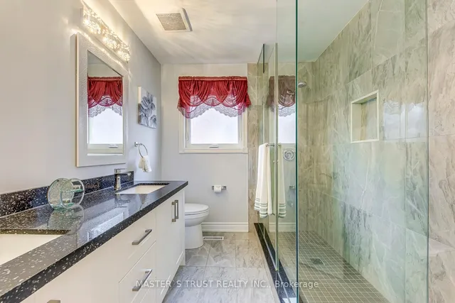 Additional image 41 of 66 Snow Leopard Crt