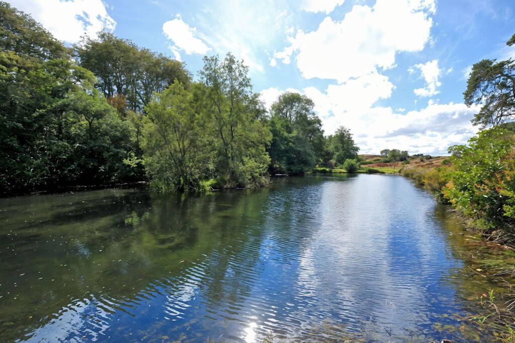 Additional image 24 of Lochside Lodge, Glenesk, Turriff, AB53