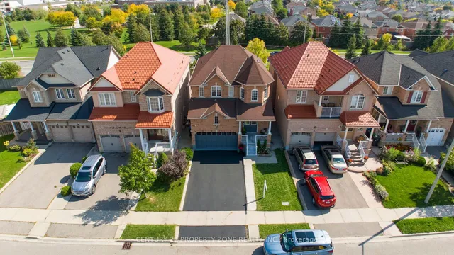 Additional image 2 of 42 Spotted Owl Cres