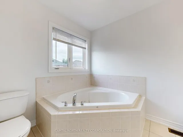 Additional image 23 of 29 Begonia Cres