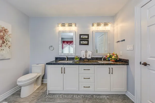 Additional image 33 of 66 Snow Leopard Crt