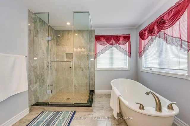 Additional image 34 of 66 Snow Leopard Crt