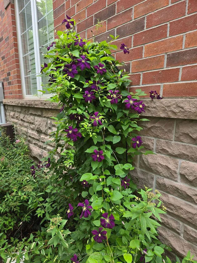 Additional image 39 of 300 Ravineview Way Unit 33