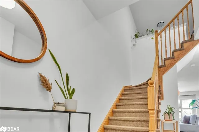 Additional image 30 of 80 Palacebeach Trail