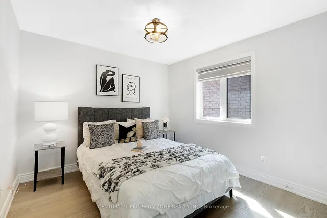 Additional image 25 of 42 Spotted Owl Cres