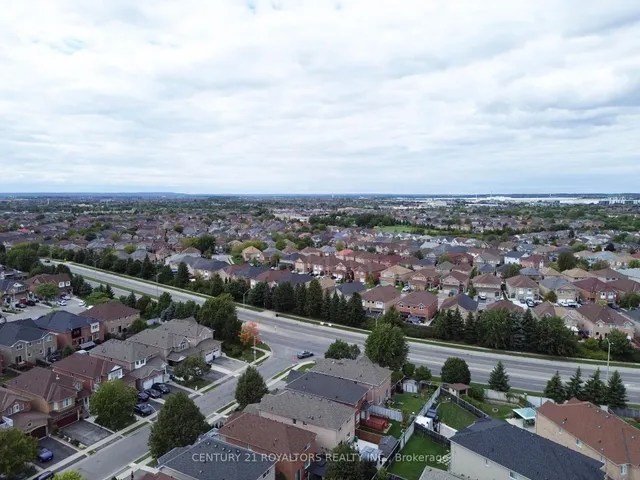 Additional image 41 of 19 OXTAIL Lane