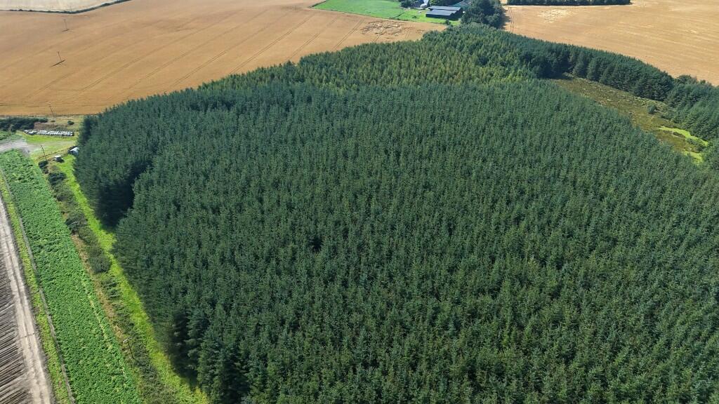 Additional image 3 of Woodlands at North Touxhill, Auchnagatt