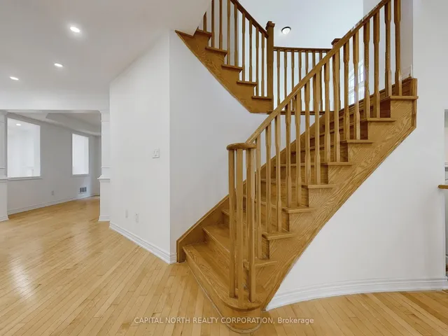 Additional image 15 of 29 Begonia Cres