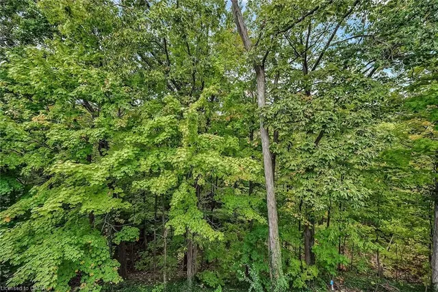 Additional image 39 of 1560 Kerns Rd Unit 7