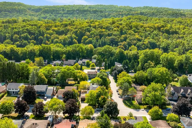 Additional image 46 of 78 Terrace Dr