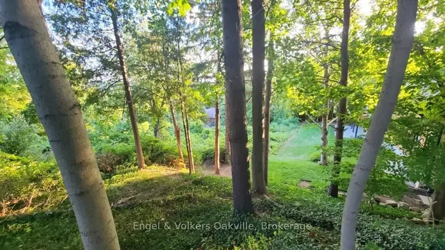 Additional image 45 of 50 Oak Ave