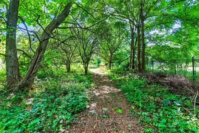 Additional image 48 of 345 Jerseyville Rd