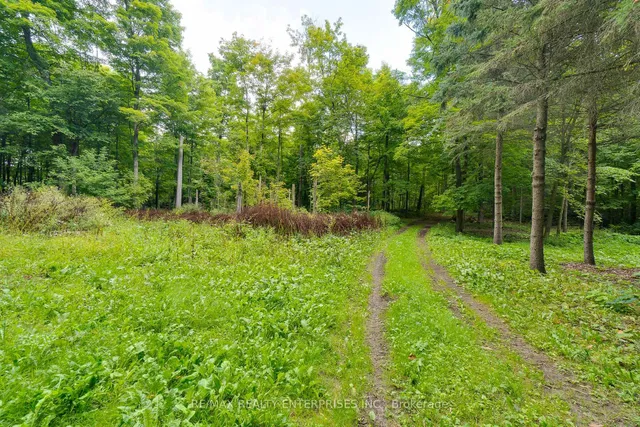 Additional image 17 of 12909 5th Line