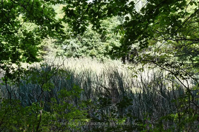 Additional image 37 of 1966 Concession 2