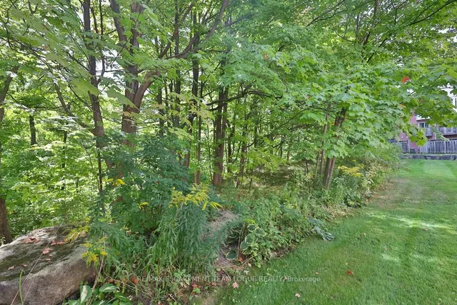 Additional image 41 of 3480 Upper Middle Rd Unit 50