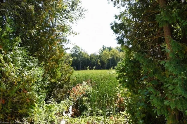 Additional image 24 of 1085 10th Concession Rd Unit 29