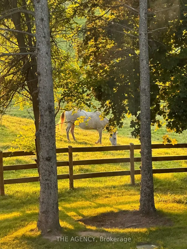 Additional image 41 of 1067 Jerseyville Rd