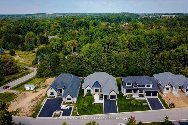 Additional image 3 of 11 Black Willow Crt