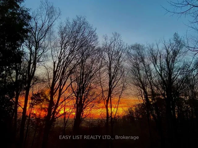 Additional image 18 of 7507 Bell School Line