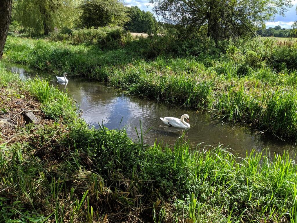 Additional image 40 of Tewin Water, Digswell