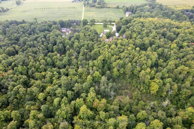 Additional image 48 of 12909 5th Line